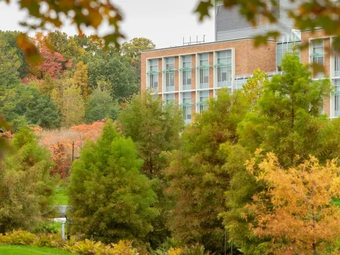 Autumn trees on North Campus