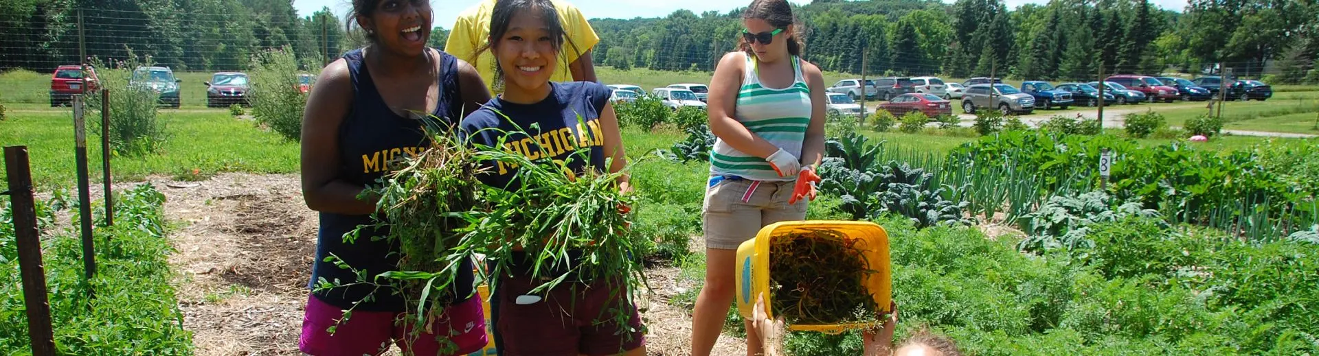 Students harvesting crops at a farm