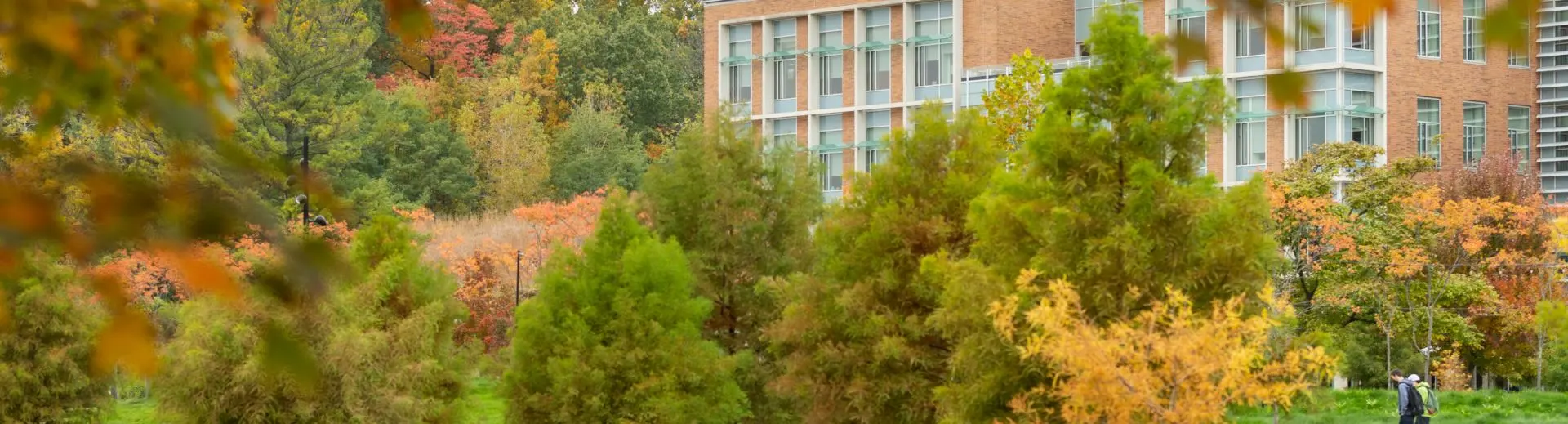 Autumn trees on North Campus